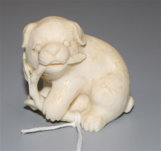 A 19th century Japanese carved ivory dog